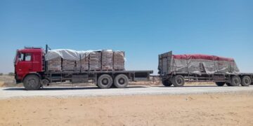 Combattants de Gaza : « on a le sentiment que la politique est qu’ils ne veulent pas gagner et écraser l’ennemi »