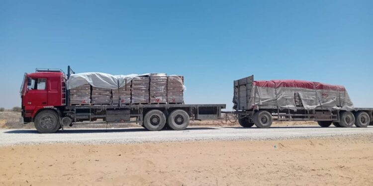 Combattants de Gaza : « on a le sentiment que la politique est qu’ils ne veulent pas gagner et écraser l’ennemi »