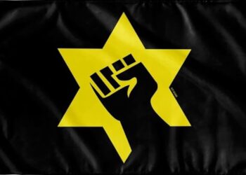 Excellente interview de Pierre Lurçat sur le militantisme juif en France