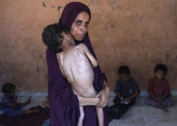 Pleins feux sur Pallywood