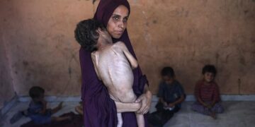 Pleins feux sur Pallywood