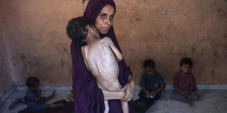 Pleins feux sur Pallywood