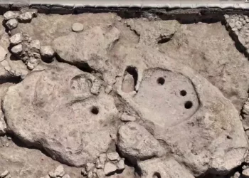 Dans le nord d’Israël, des archéologues découvrent le plus ancien pressoir à vin
