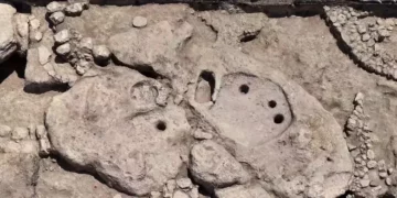 Dans le nord d’Israël, des archéologues découvrent le plus ancien pressoir à vin