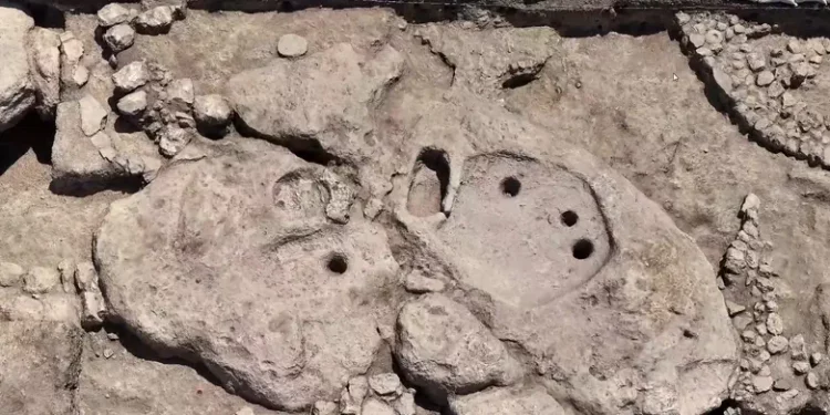 Dans le nord d’Israël, des archéologues découvrent le plus ancien pressoir à vin