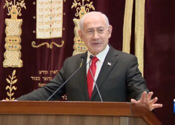 Netanyahou aux Juifs de la diaspora : « Exprimez-vous, levez-vous, ripostez »