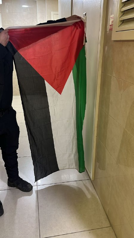 אור רביד תושבת חריש נעצרה לאחר שהמשטרה חיפשה בביתה ומצאה דגל פלסטין. המשטרה פתחה בבדיקה בעקבות פרסום שעלה ברשתות החברתיו...