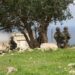 Israël en première ligne – fil en continu de la guerre contre l&rsquo;Iran – 24 avril 2026