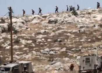 Pur antisémitisme : les amalgames médiatiques condamnant Israël épargnent la France